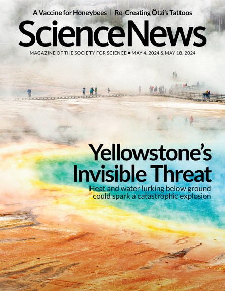 Cover of the May 4, 2024 issue of Science News