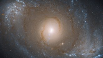 image of galaxy NGC 4151