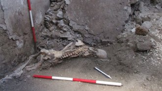 A photo of a skeleton with broken bones in an excavated house in Pompeii, Italy.