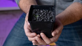 a black container of dark faux asteroid soil and peat moss, held by a man wearing a gray shirt and jeans. There is a tiny chili pepper seedling poking through the dirt